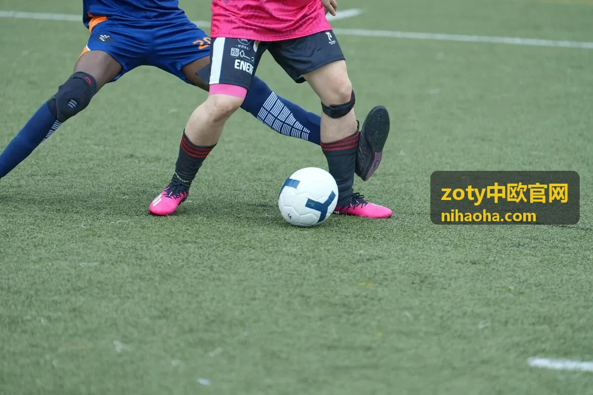 zoty中欧官网贸易对接与商务往来材料整理