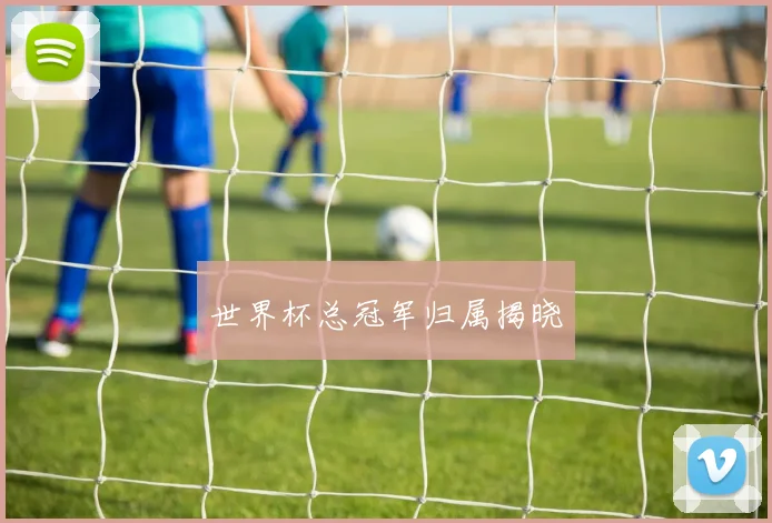 世界杯总冠军归属揭晓