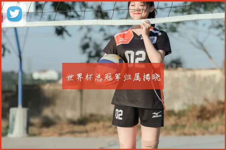 世界杯总冠军归属揭晓