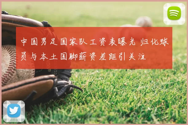 中国男足国家队工资表曝光 归化球员与本土国脚薪资差距引关注
